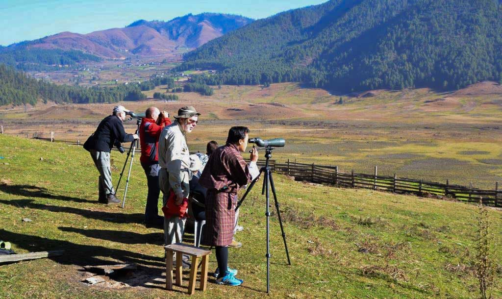 Birding in bhutan
