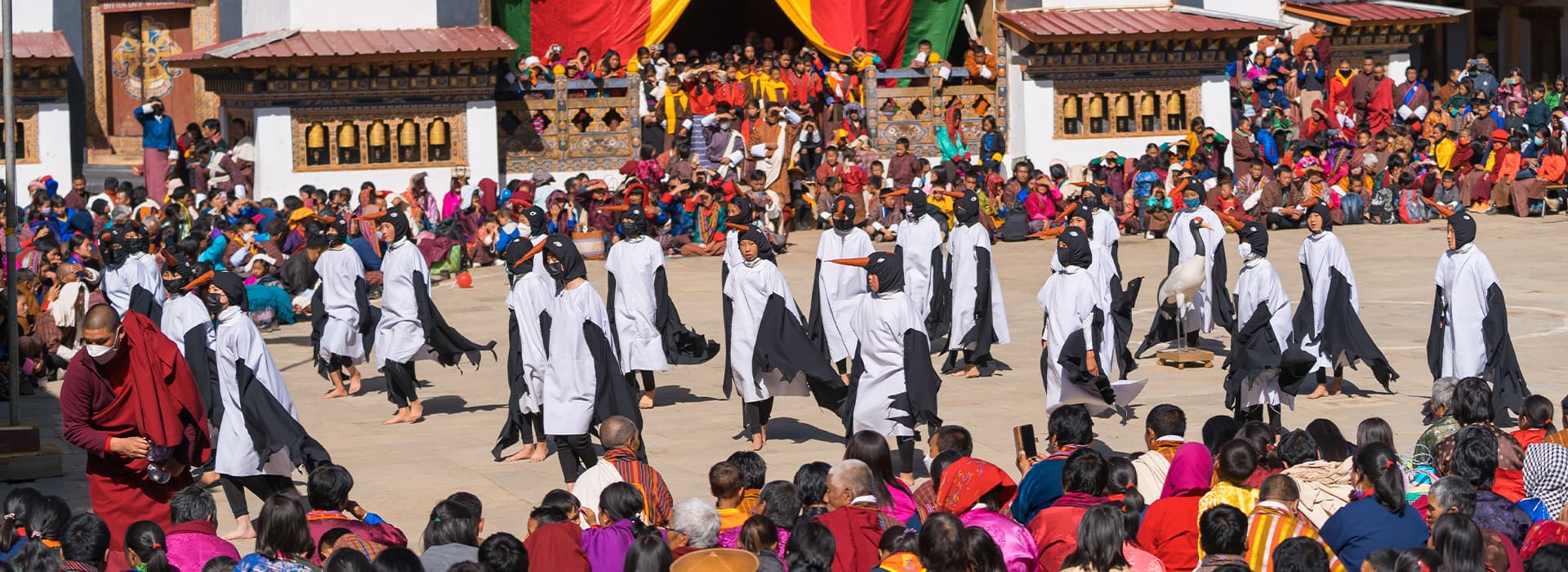 Black-Necked Crane Festival