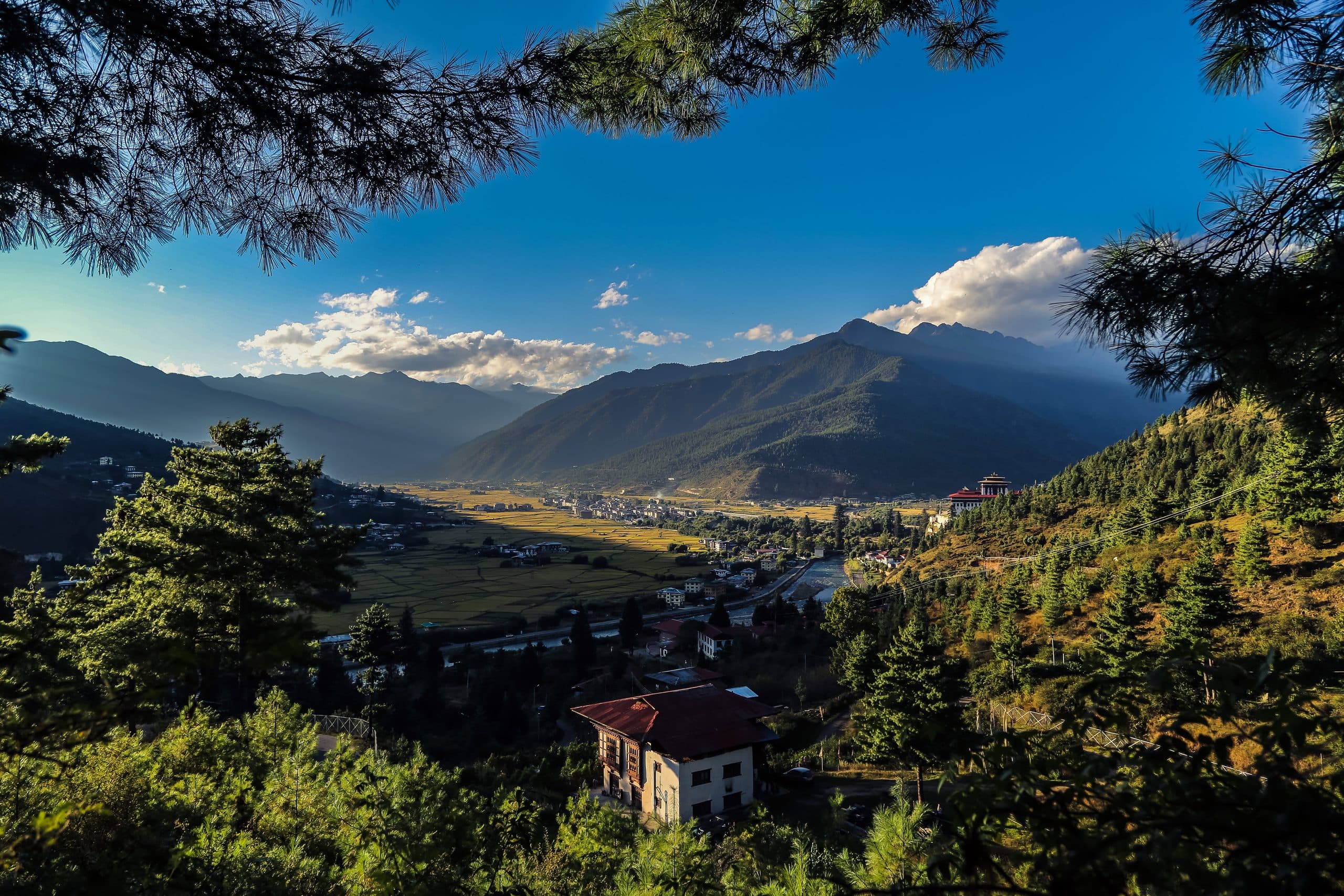 Paro — the valley floor and the terraces above it