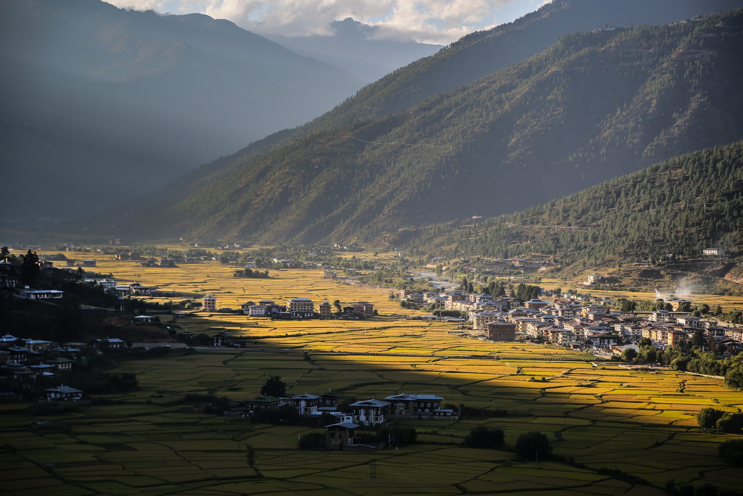 Paro valley from above — the rice paddies, the Pa Chhu river, Rinpung Dzong on the ridge