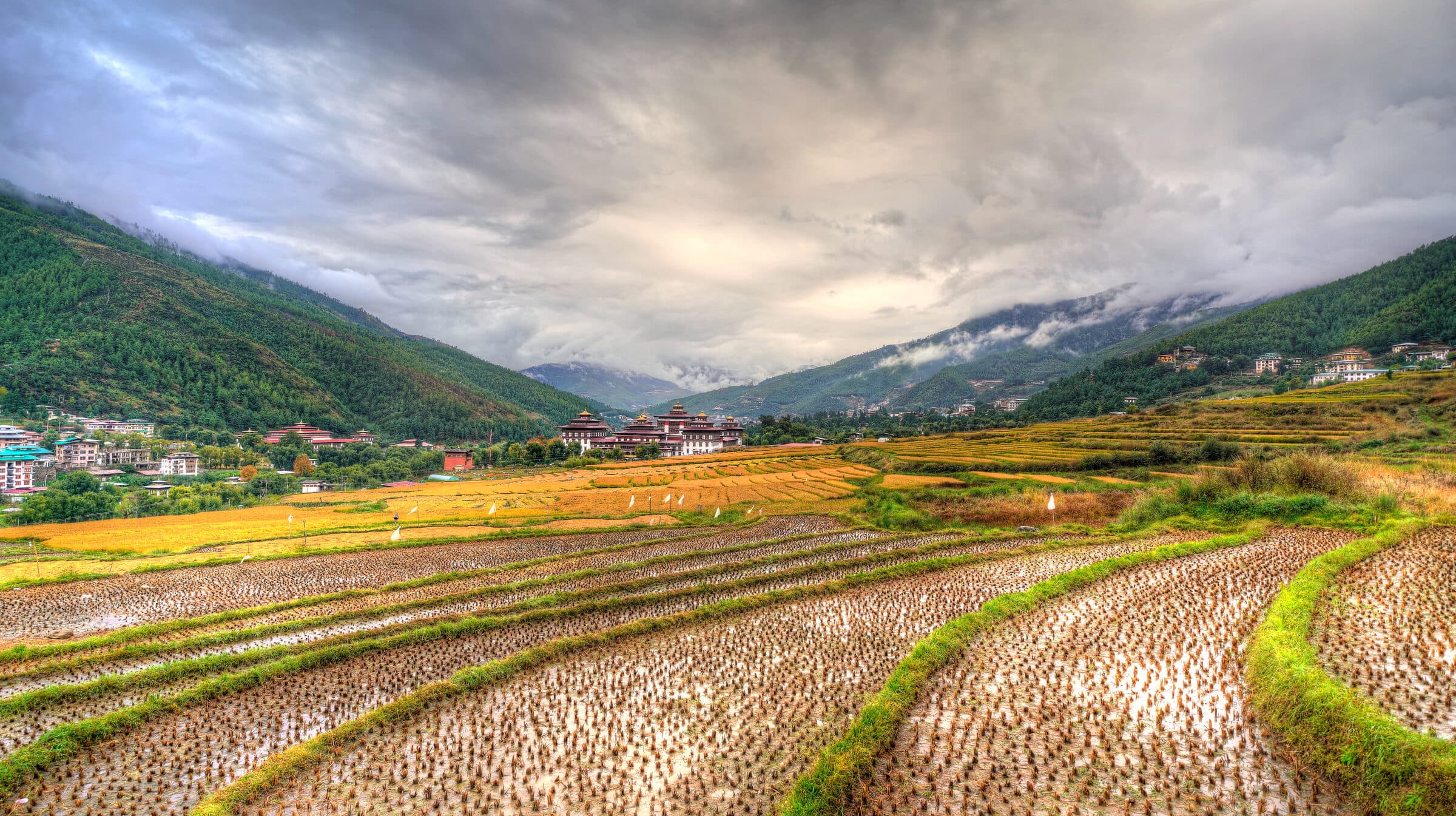 Talo — the terraced hill village and its ridge-top monastery above the Punakha valley